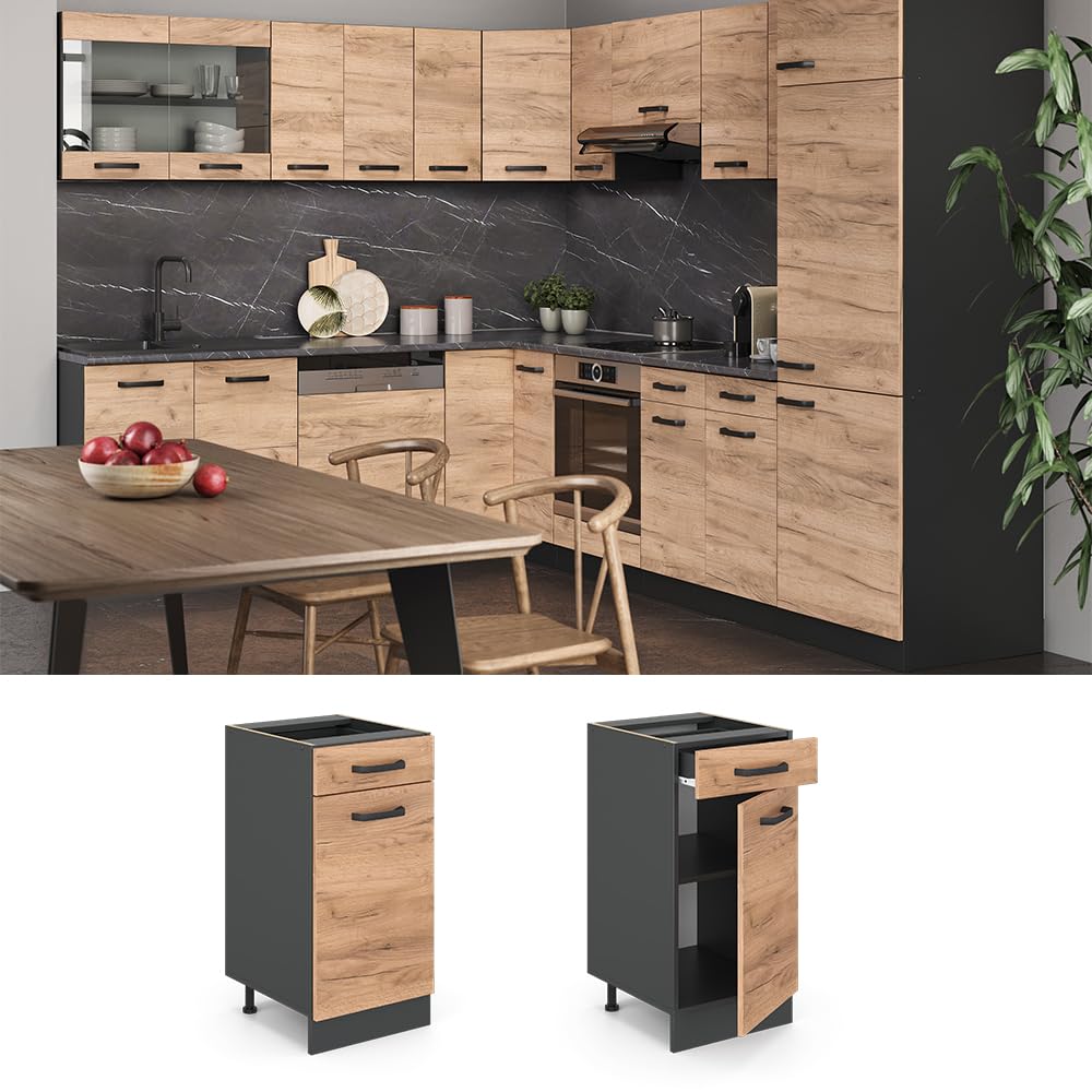 Vicco Mueble bajo de Cocina R-Line, Roble Dorado/Antracita, 40 cm sin encimera
