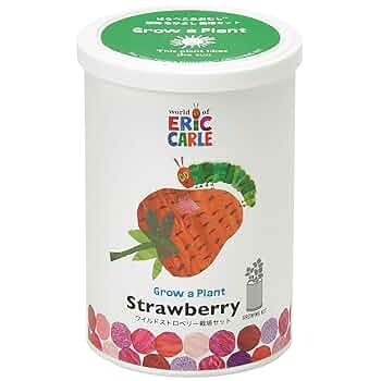 たりあさま専用 ワイルドストロベリー ミニチュア トリオ 2組セット Amazon｜聖新陶芸 通年 家庭菜園 簡単 栽培キット ワイルド