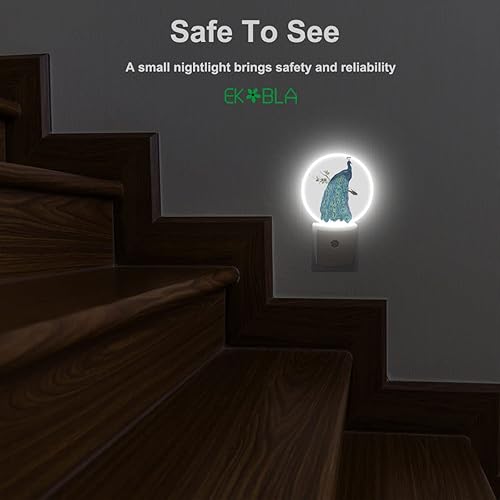 Miniatura 5 de EKOBLA Luz nocturna de pavo real en rama de árbol, acuarela, plumas de pavo real, verde azulado, turquesa, lámpara de noche con sensor automático,