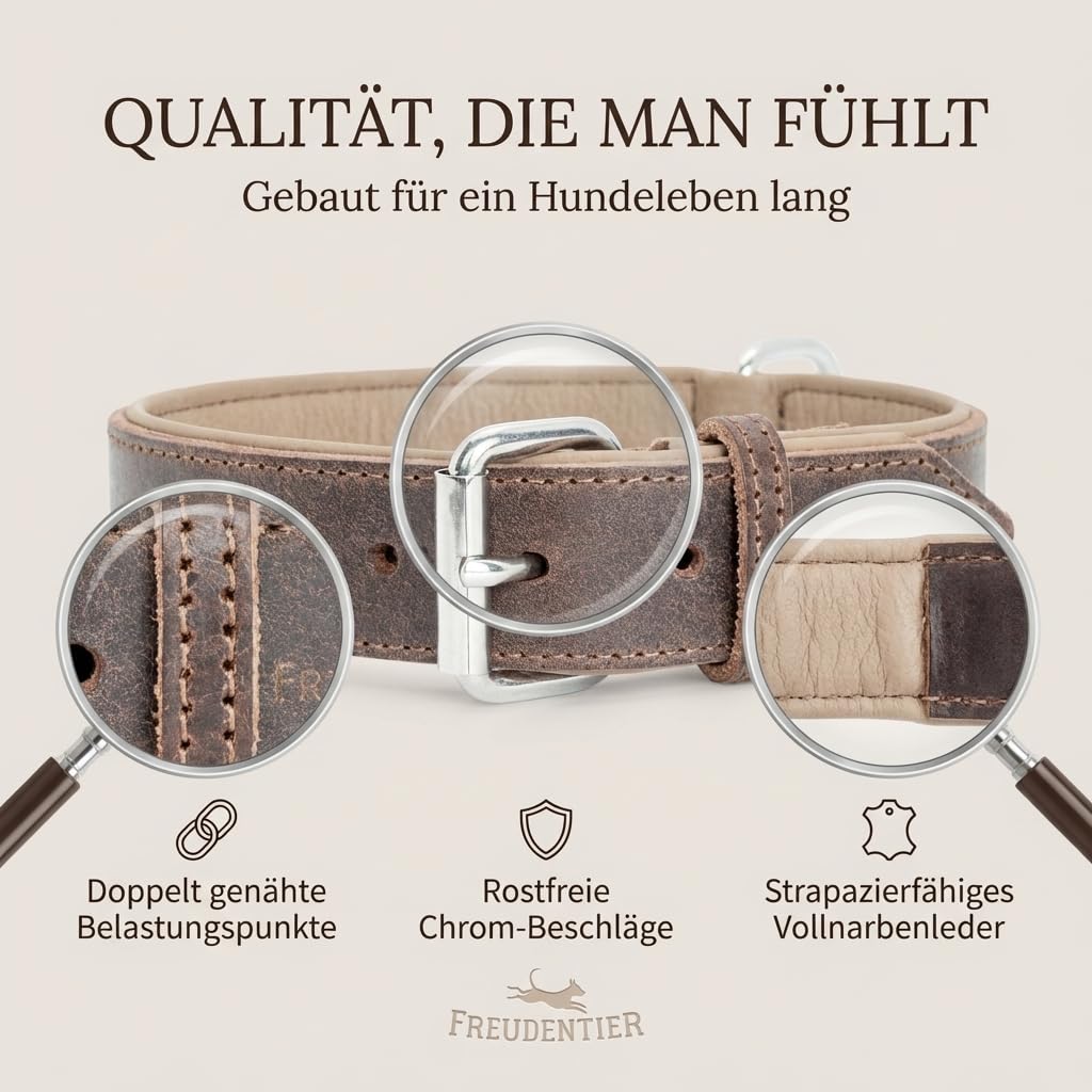 FREUDENTIER Hundehalsband aus Leder, Made in Holland, gefüttert & super komfortabel, hochwertiges breites Lederhalsband aus Vollnarbenleder, Model “Amstelpark” (47-57cm Halsumfang, Dark Chocolate)