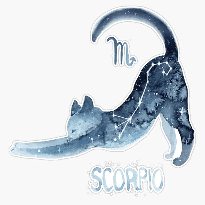 Leyland Designs Zodiac Cat - Scorpio Sticker Outdoor Rated Vinyl Sticker Decal for Windows, Bumpers, Laptops or Crafts 5