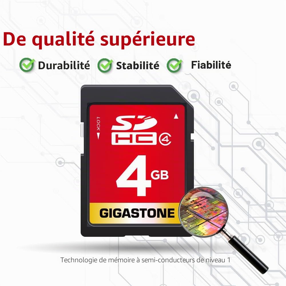 GIGASTONE Carte Mémoire SDHC 4Go Lot de 5 Cartes, Prime Série, Haute Vitesse, Compatible avec Photos, vidéos, Musique, des fichiers vocaux, Caméscope, Caméra, PC, Classe 4, avec 5 Mini étuis