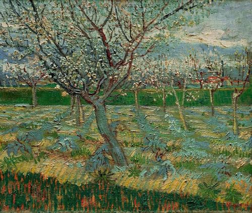Frutteto in fiore con albicocchi Van Gogh lienzo para cubrir paredes vacías con arte clásico