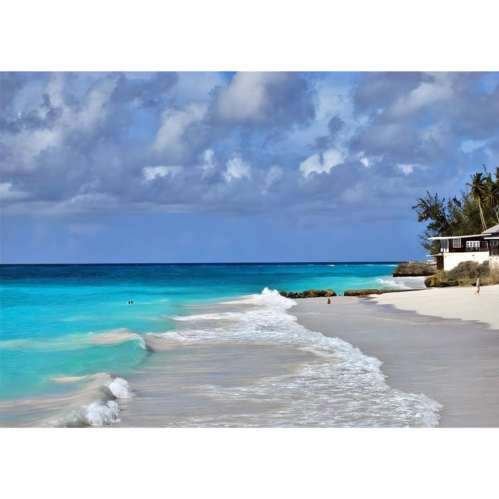 100（45.5x35.5cm）‑Piece Adult Jigsaw Puzzle, Barbados Beaches, Suitable for Adult Stress Relief, Leisure Games and Home Wall Decoration