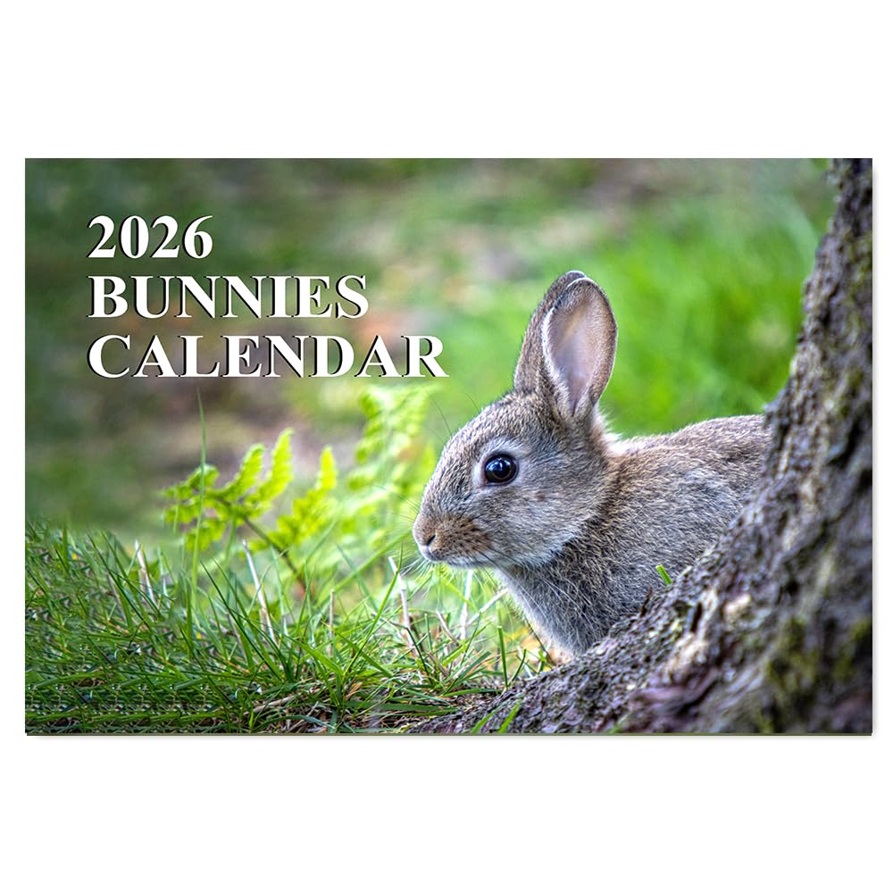 A4 Bunny Calendars 2026 12 Month to View Wall Calendar A3 When Open Rabbit Calendar 2026 Papa Prints