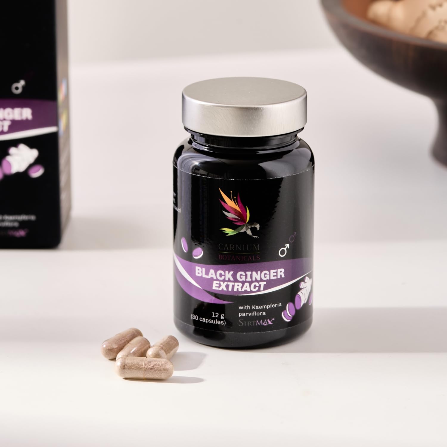 Carnium Botanicals Black Ginger Extrakt, 30 Kapseln | Vegane Ingwer Kapseln, Glutenfrei, Laktosefrei, Bio Ingwer Extrakt