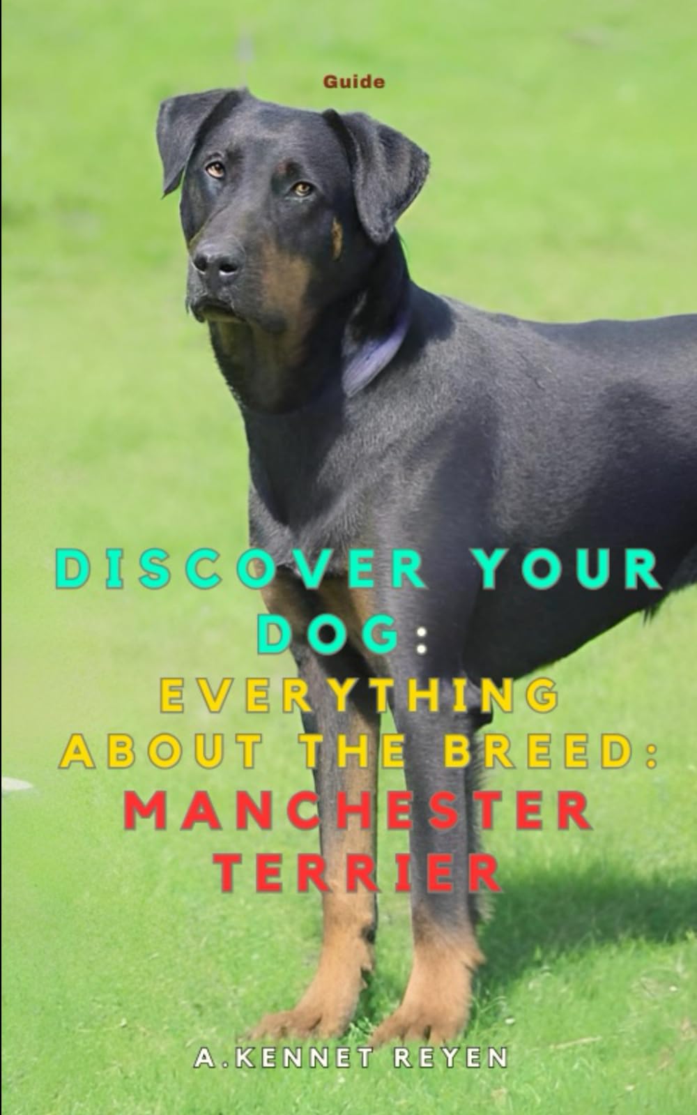 Discover your dog: Everything about the breed: Manchester Terrier
