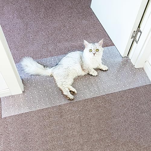 Carpet Protector for Pets Cat Carpet Protector Repellent Barrier for Doorway Corner Anti Scratch Under Door Cat Scratch Protector Mat, Easy to Cut Plastic Stopper (Clear, 3.6FT-1pack)