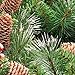 Amaoasis 24 Inch Artificial Pre-Lit Christmas Wreath, Mixed Pine Decorated Frosted Berries, Pinecones, 50 LED Lights with Timer, Battery Operated, Holiday Decoration for Front Door, Outdoor