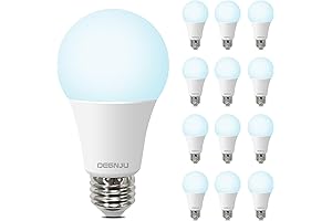 LED Light Bulbs, 100 Watt Equivalent | 1500 Lumens Daylight Bulbs