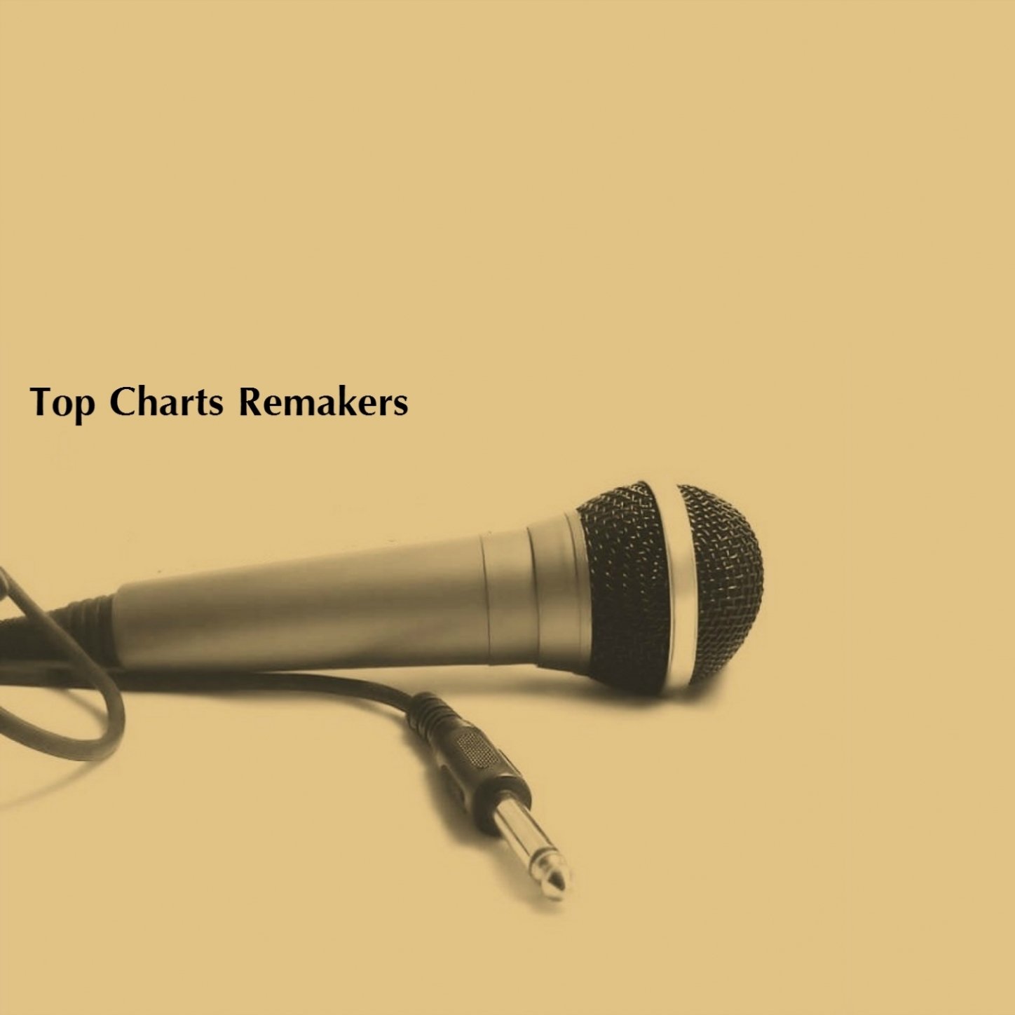 Top Charts Remakers
