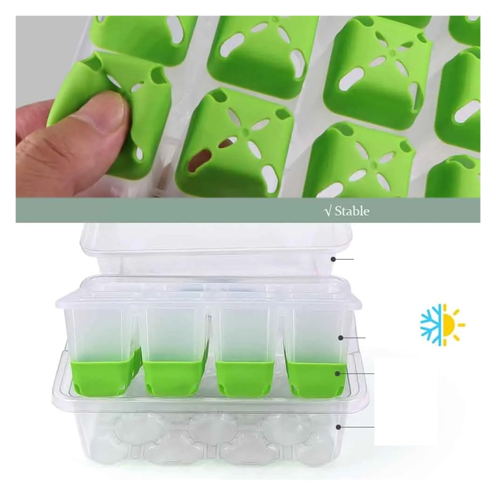 Bandejas para Semillas Bandeja de Inicio de plántulas de 12 Celdas con Cubierta Transparente Caja de germinación de Humedad Invernadero de Crecimiento for jardín Interior para Semilla(5pcs)