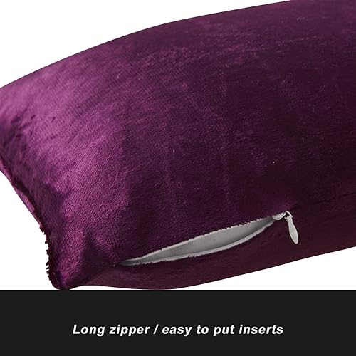 Vista 269 de GIGIZAZA - Juego de 2 fundas de almohada decorativas de 18 x 18 pulgadas, fundas de almohada cuadradas de terciopelo verde azulado pavo real