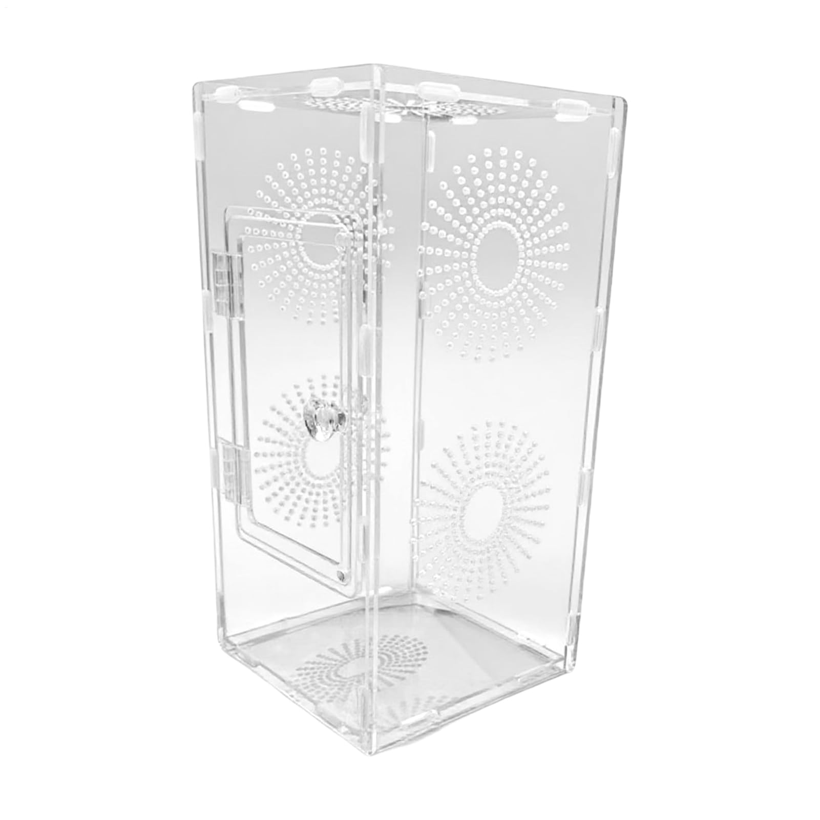 Enclos pour araignée transparent haut de gamme pour tarentule