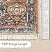 nuLOOM Harriet Vintage Medallion Fringe Area Rug - 5x8 Area Rug Traditional Rust/Multicolor Rugs for Living Room Bedroom Dining Room Kitchen