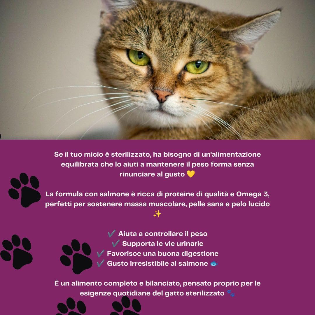 Natural Trainer Gatto Adult Sterilised Salmone 3kg, alimento secco completo per gatti adulti di tutte le taglie e razze, gusto SALMONE, confezione da 3kg.