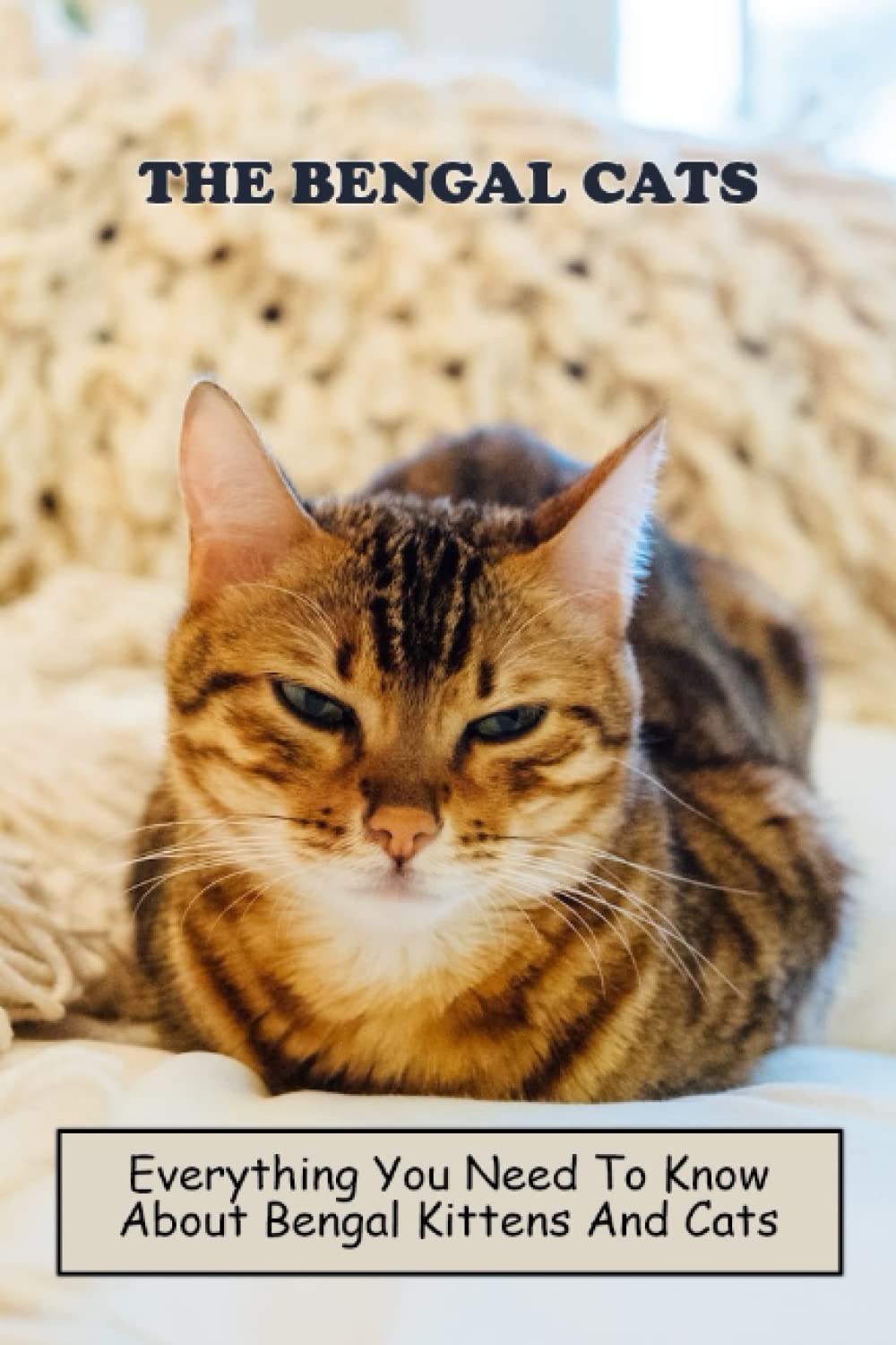 Buy The Bengal Cats Everything You Need To Know About Bengal Kittens