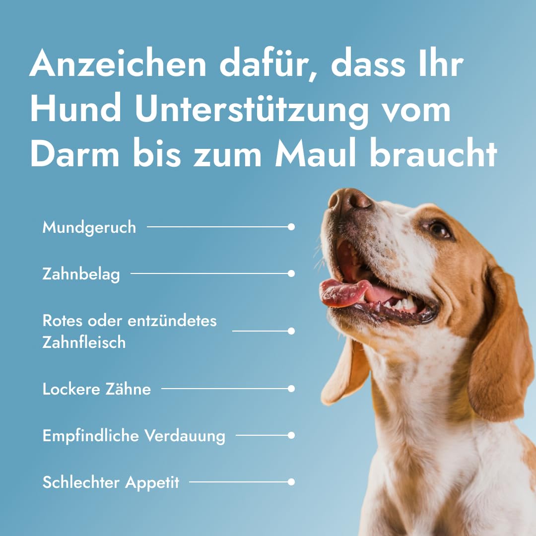 Dental PetBiotics – Zahnpflegepulver für Hunde mit Probiotika & Kräutern – Gegen Mundgeruch, reduziert Zahnbelag, unterstützt gesundes Zahnfleisch & die Darmflora (1x 120 g)