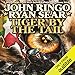 Tiger by the Tail: Paladin of Shadows, Book 6