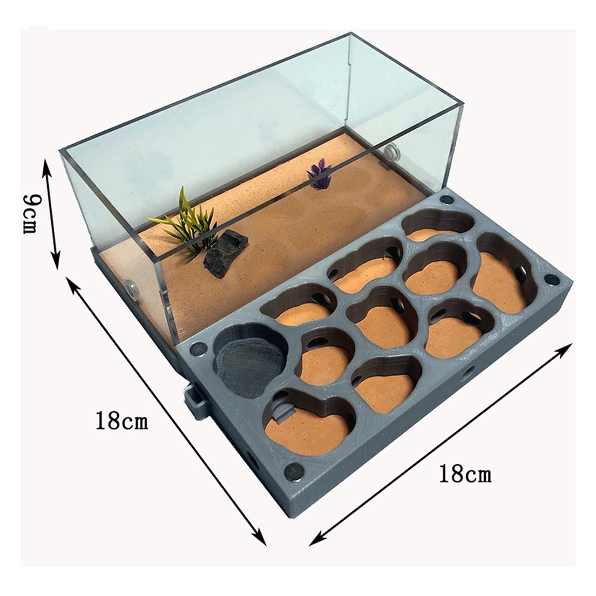 Granja De Hormigas Hormigón Hormigueros Acrilico Hormiga Nido Kit Área Alimentación Insect Nest Hábitat AntHouse Hormiguero Juguete Educativo para Niños