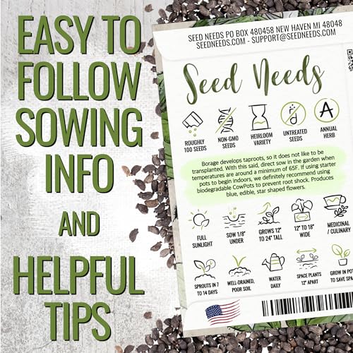 Seed Needs Borage Seeds for Planting White Borago officinalis Starflower - Non-GMO Heirloom & Untreated Herb Seed to Plant and Grow an Outdoor Home Grown Garden (1 Pack) - Image 3