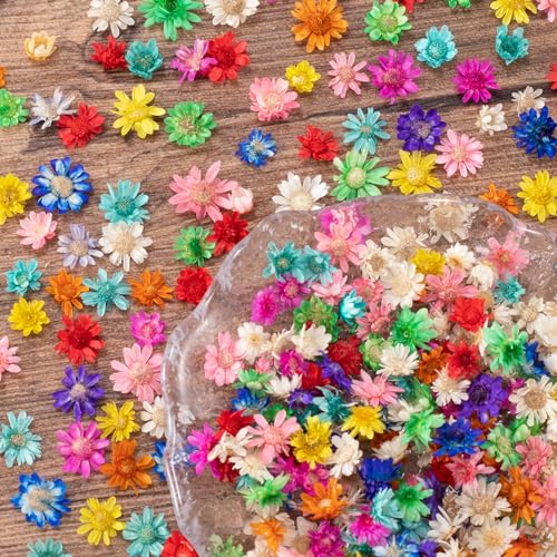 280 flores secas pequeñas para manualidades y resinados miniatura 1