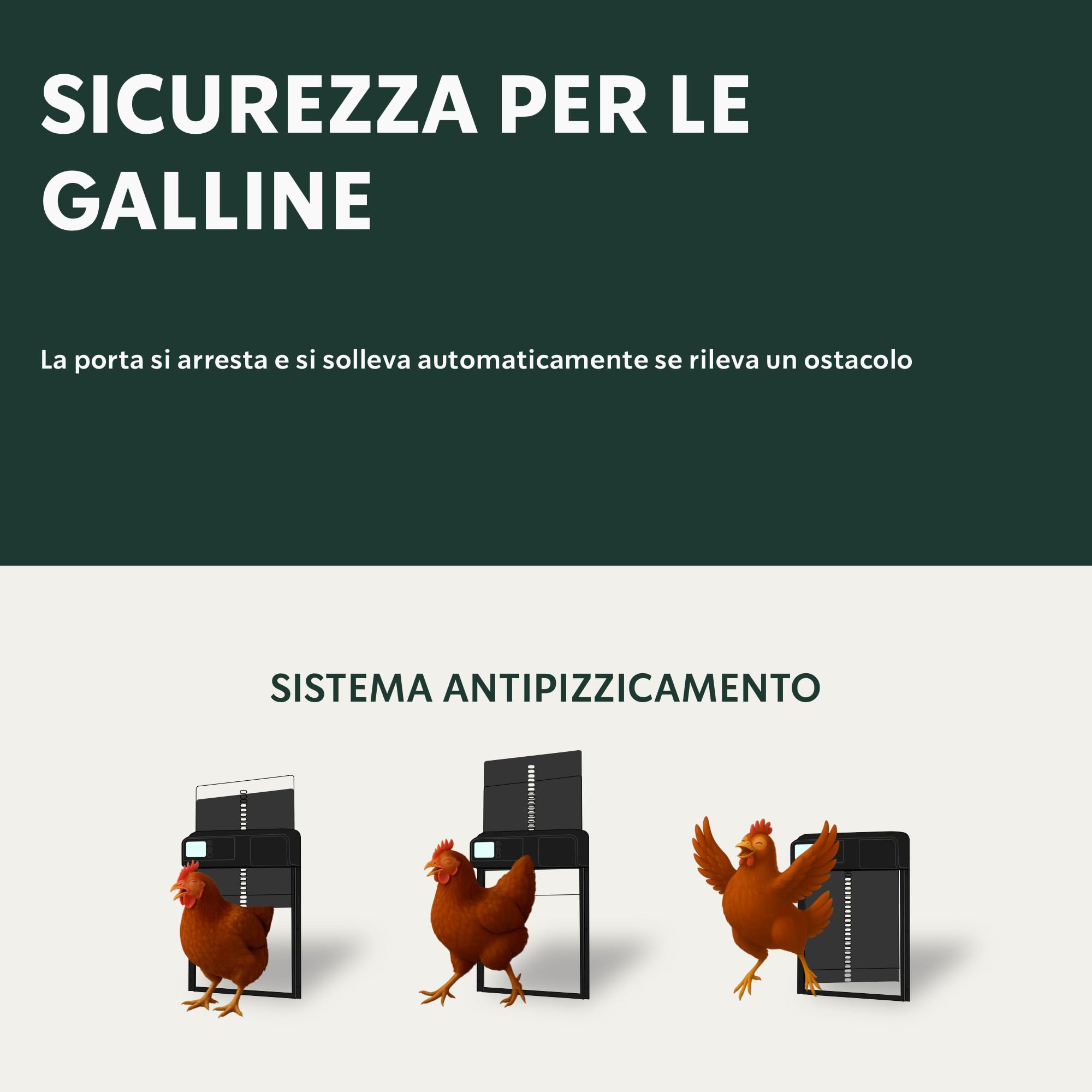 Porta Automatica per Pollaio - Chiusura Programmata e Sicura