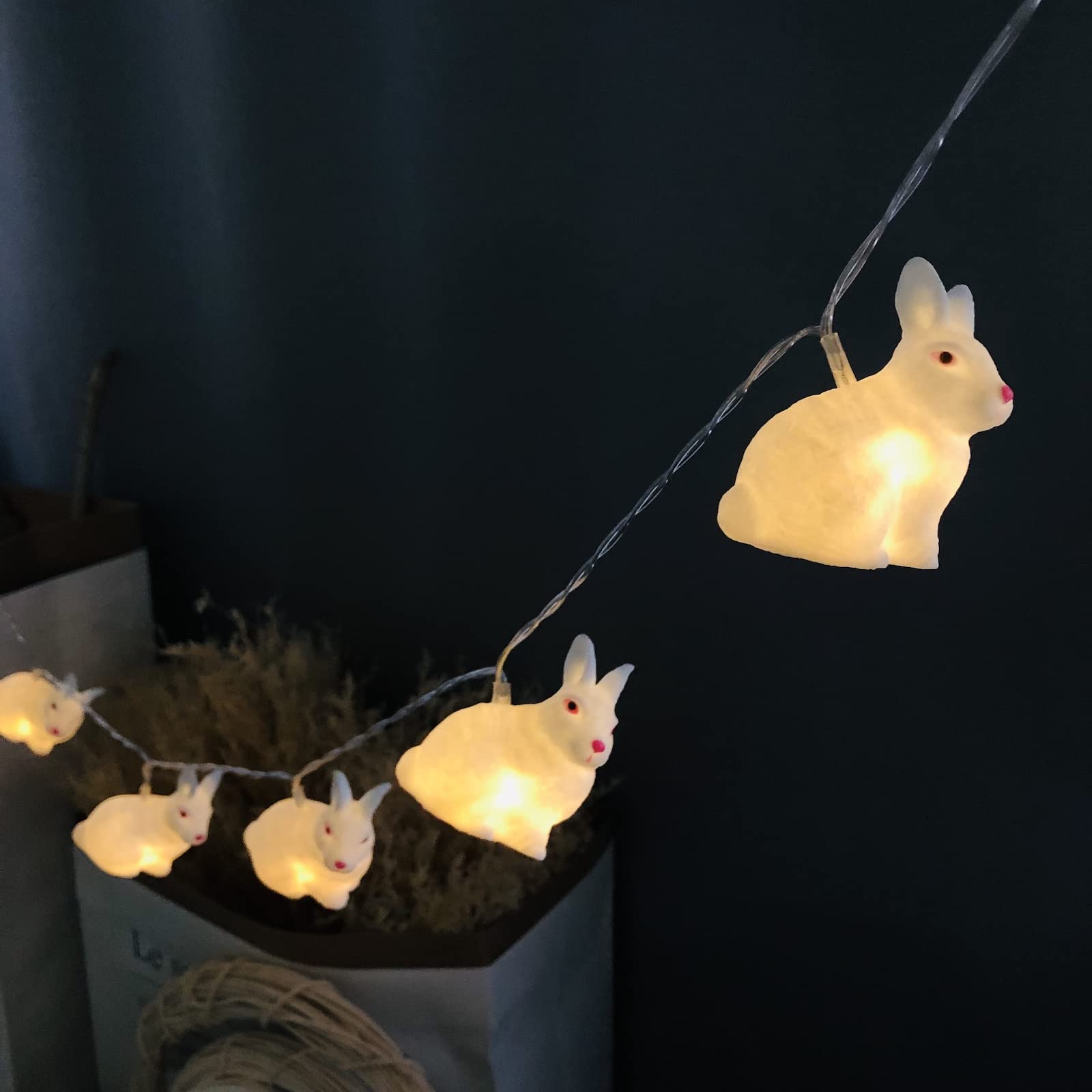 Riaxuebiy USB Plug in Bunny Rabbit Fairy Lights,1.65m 10LEDs String Lights Rabbit Night Mood Light for Garden Bedroom Festival Party Wedding Xmas Decor (White Rabbit)