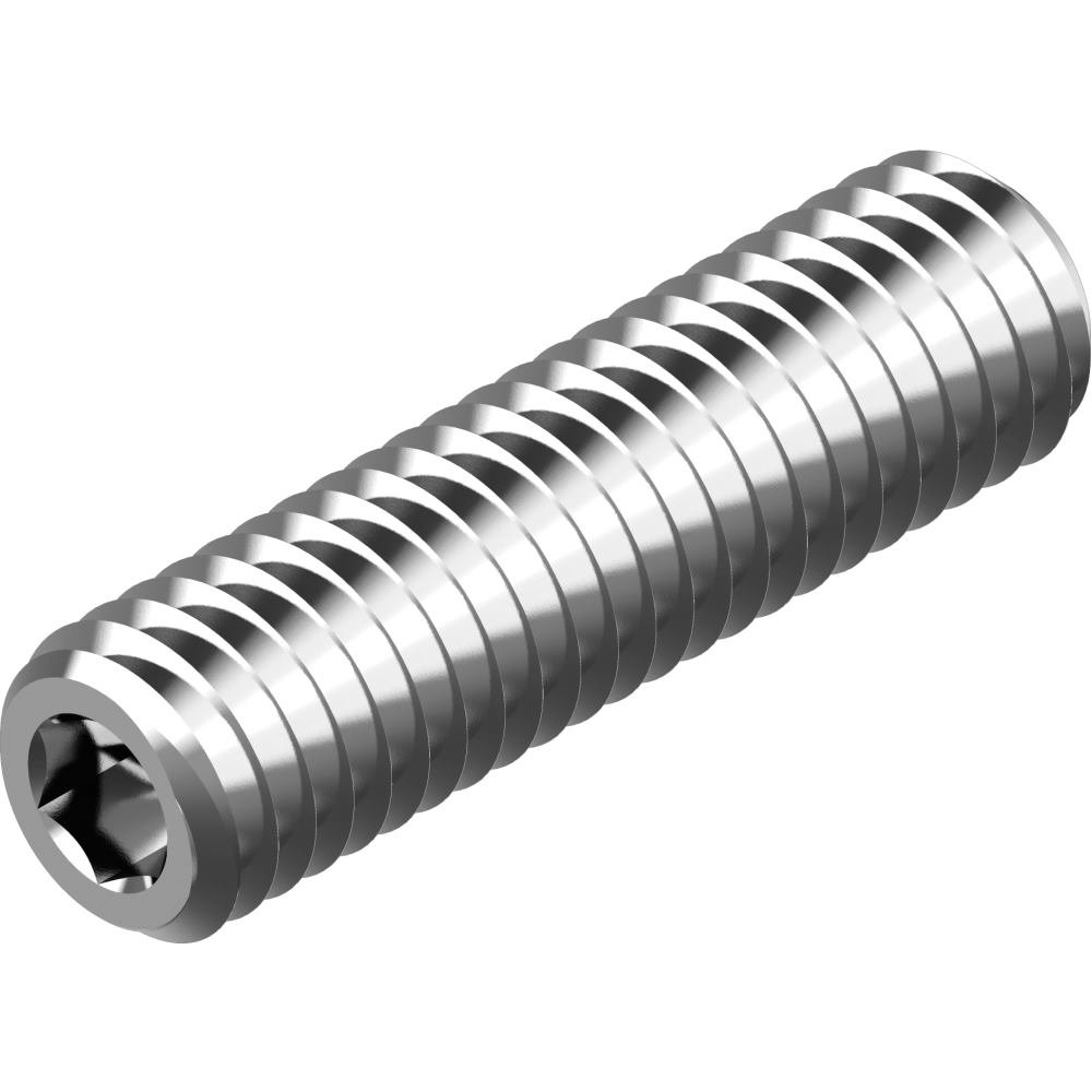 Vis pointeau DIN 916 M2.5 x 6 inox A4 sans tête six pans creux pour fixation de poulie