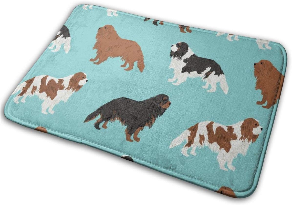 Non Slip Welcome Door Mat Cavalier King Charles Spaniel Cute Dog Pet Dogs Blemein Fabric Ruby Cavalier Black And Tan Dog Cute Dog Coat Dog Breed Indoor/Outdoor Bathroom/Kitchen Rug Rubber 40x60 Cm