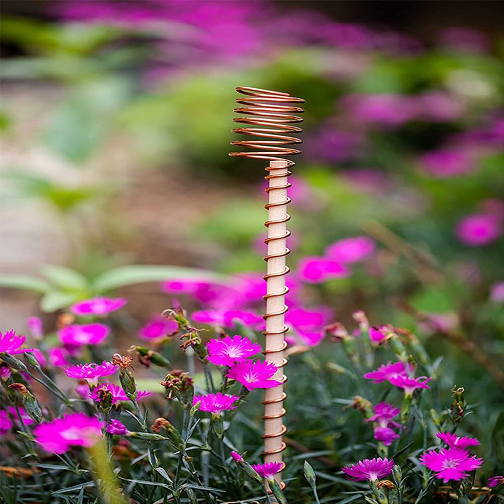 Elektrokultur-Pflanzstäbe, Länge 300 mm, lange Kupfer-Gartenpfähle, Elektrokultur-Gartenarbeit, Kupferspulen, Drahtwerkzeuge für den Anbau von Gartenpflanzen, Gemüse, 24 Stück