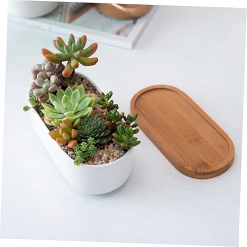 Miniatura 2 de GANAZONO Maceta de cerámica con bandeja para plantas drenantes para un crecimiento saludable para la decoración del hogar