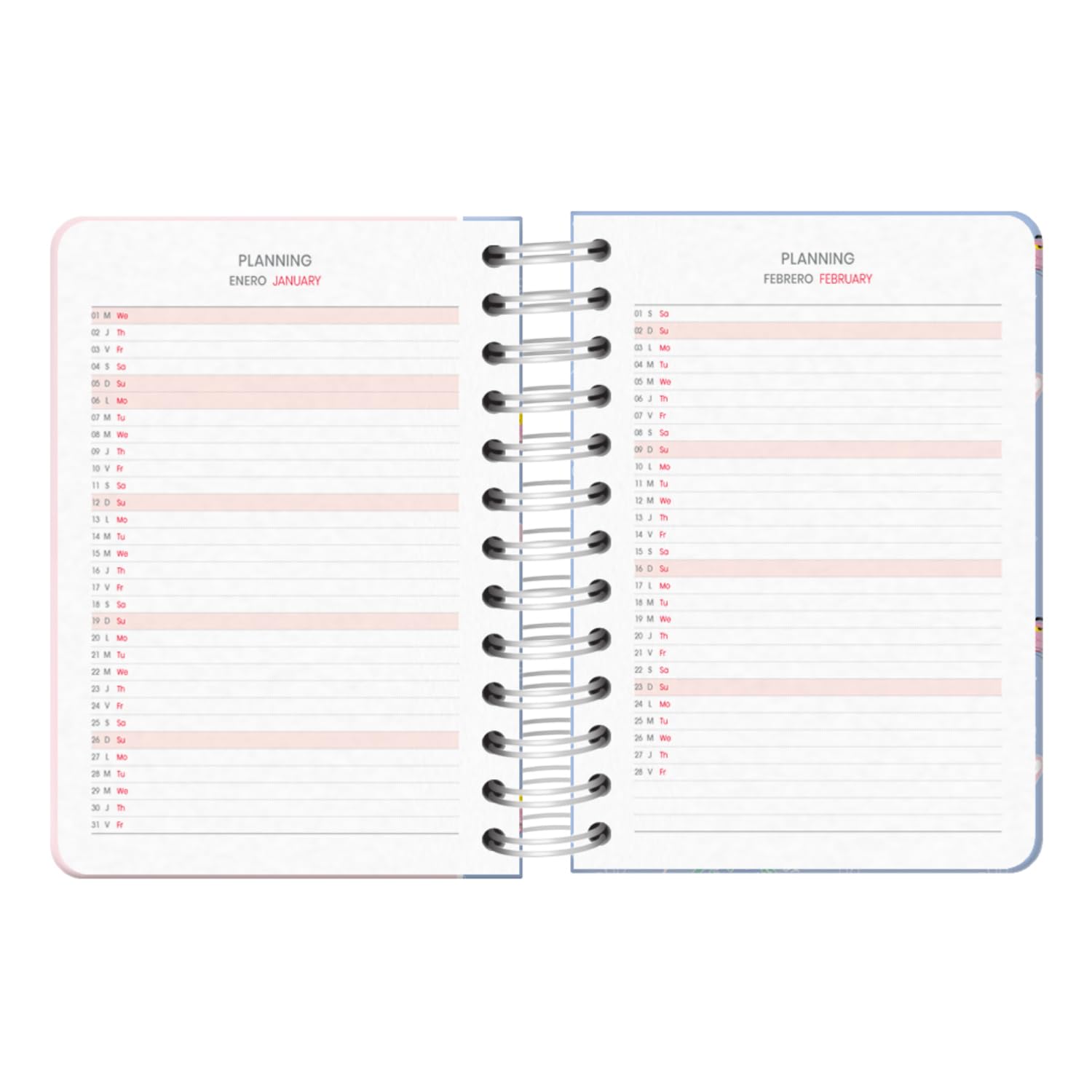 Dohe, School Diary 2024 2025, Day by Page, Size A6 (12 x 17 cm), Ring Closure and Rubber, Spanish and English - Image 4