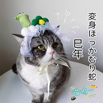 Amazon | 猫 犬用帽子 巳年 被り物 噛むおもちゃ 2点セット