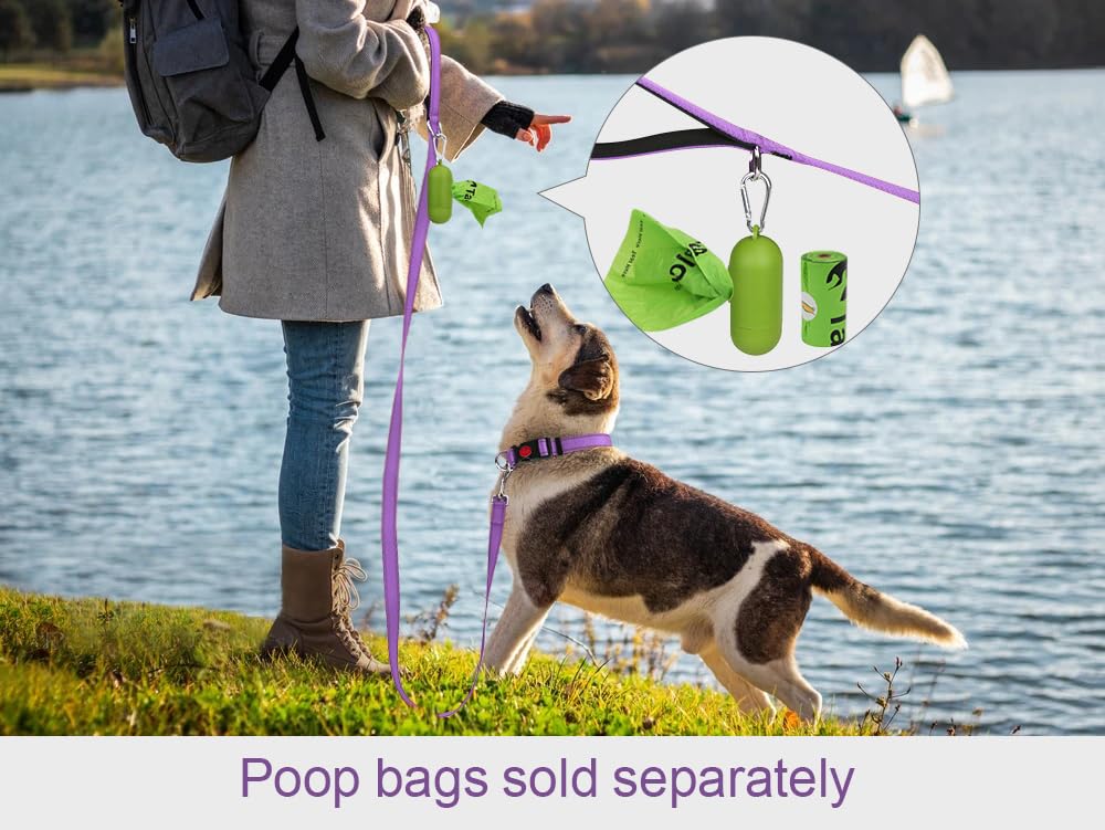 Taglory Guinzaglio per Cani Riflettente con Manico Imbottito e Gancio in Metallo, Nylon Resistente Addestramento Cane Guinzaglio, 1.8 m x 2.5 cm, Viola