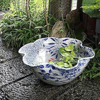 Amazon Co Jp 人気の睡蓮鉢ランキング