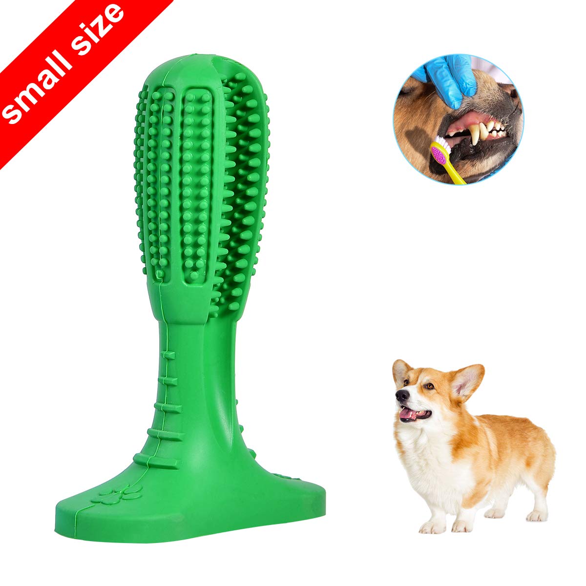 dog toothpaste chew toy