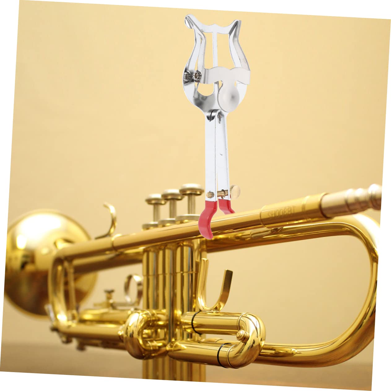 ibasenice 6pezzi Clip Per Spartiti Musicali Professionali Supporto Per Partiture Per Clarinetto Accessori Per Strumenti Fiato Leggeri e Pratici Per Musicisti Principianti e Avanzati