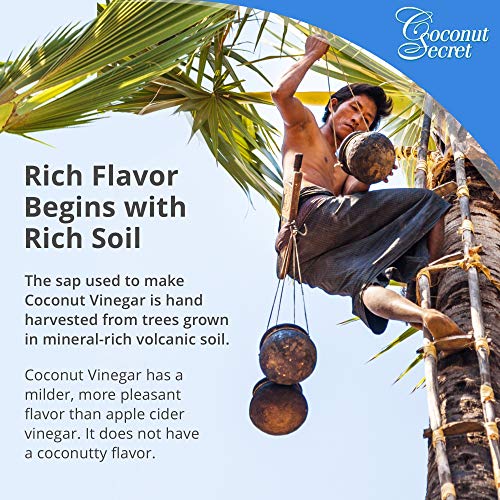 Coconut Secret Raw Coconut Vinegar (2 Pack) - 12.7 fl oz - Rich in Vitamins & Amino Acids - Organic, Vegan, Non-GMO, Gluten-Free, Kosher - Keto, Paleo, Whole 30 - 48 Total Servings