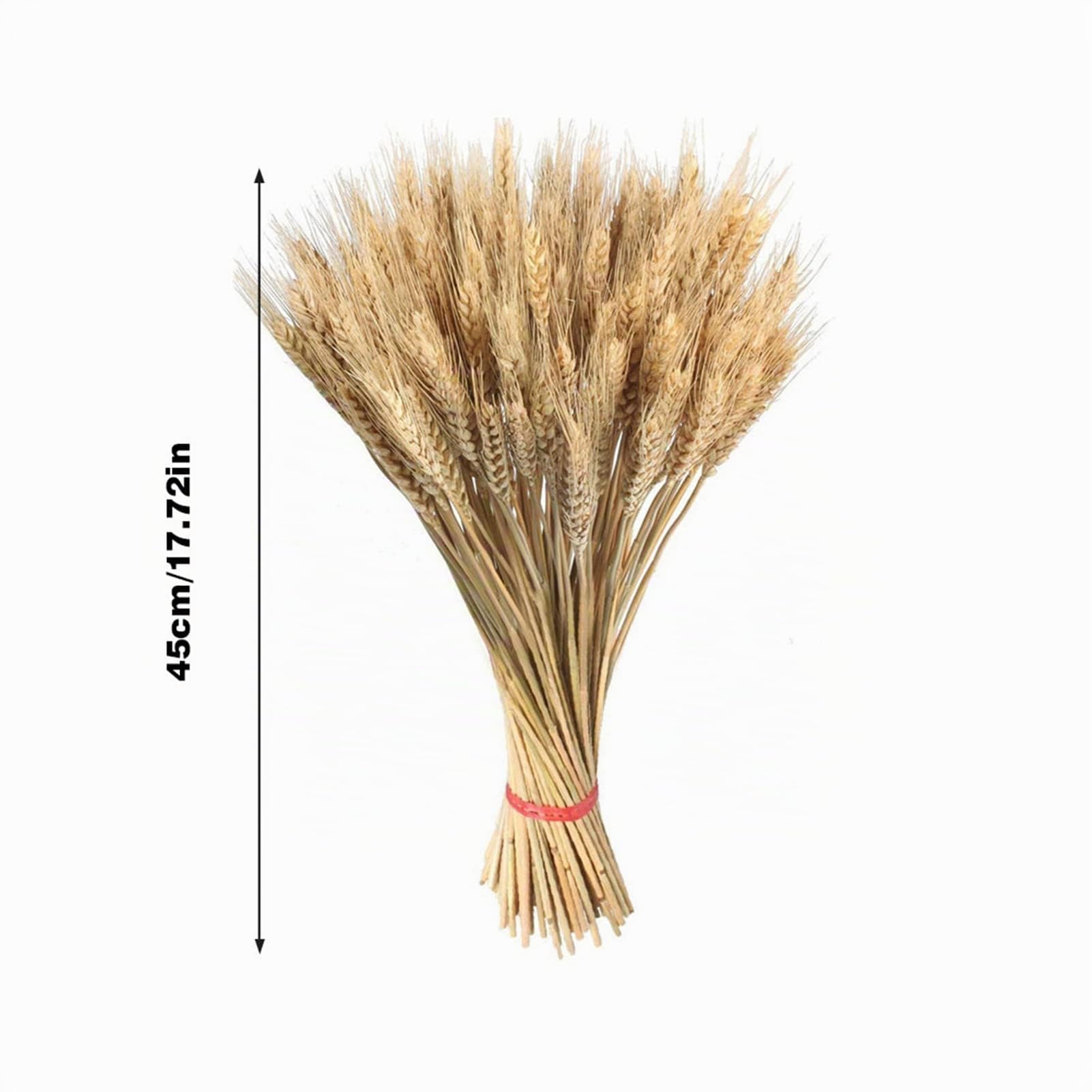 Trigo Seco, 100 Tallos Trigo 45cm Espigas Trigo Secas Naturales Ramo Trigo, Paquete Flores Trigo Artificiales para Jarrones Hogar Boda Fiesta Oficina Iglesia Mesa Decoracion