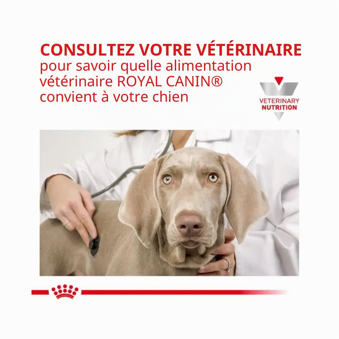 Royal Canin Gastrointestinal Low Fat Mousse | 12 x 200 g | Aliment complet diététique pour chiens adultes | Peut aider à une digestion saine