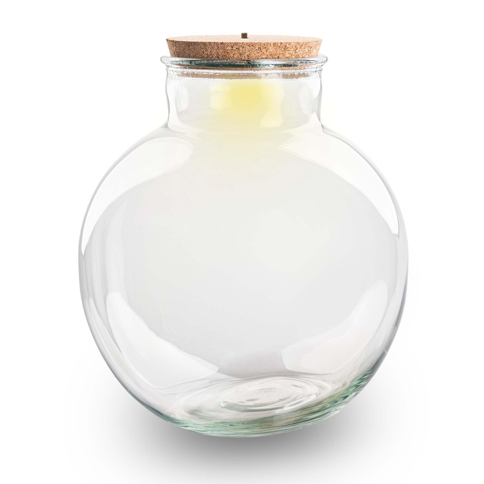 Terrarium avec Lampe - Terrarium fermé ↑ 30 cm