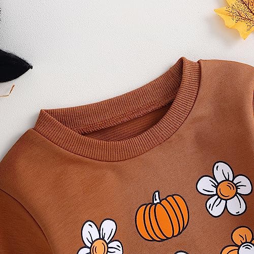 Halloween Baby Girl Boy Clothes Pumpkin Print Sweatshirt Romper Infant Long Sleeve One Piece Romper Fall Outfits4