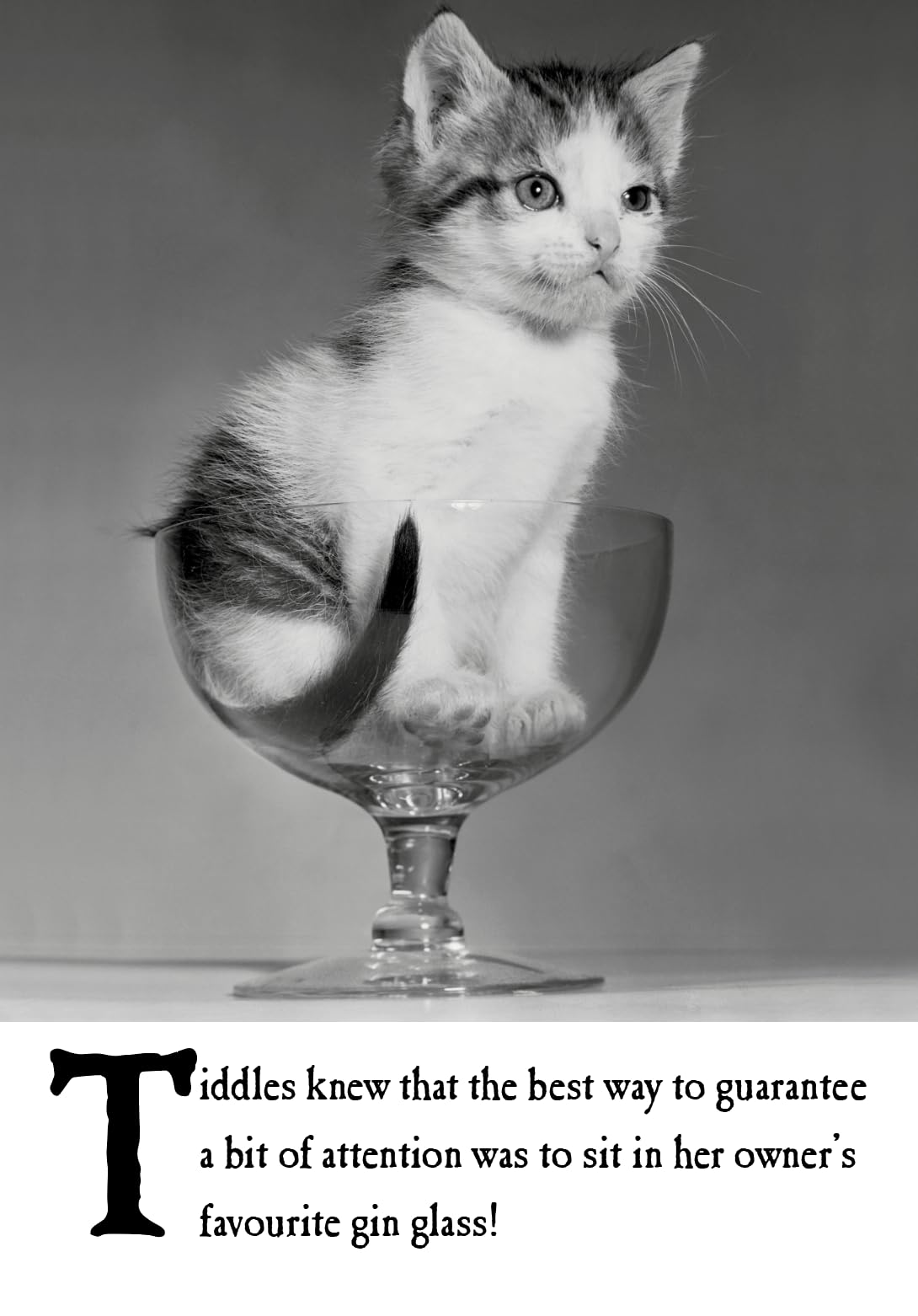 Emotional Rescue Birthday Card for Her, Funny Birthday Card Friend Kitten in Gin Glass, Black & White
