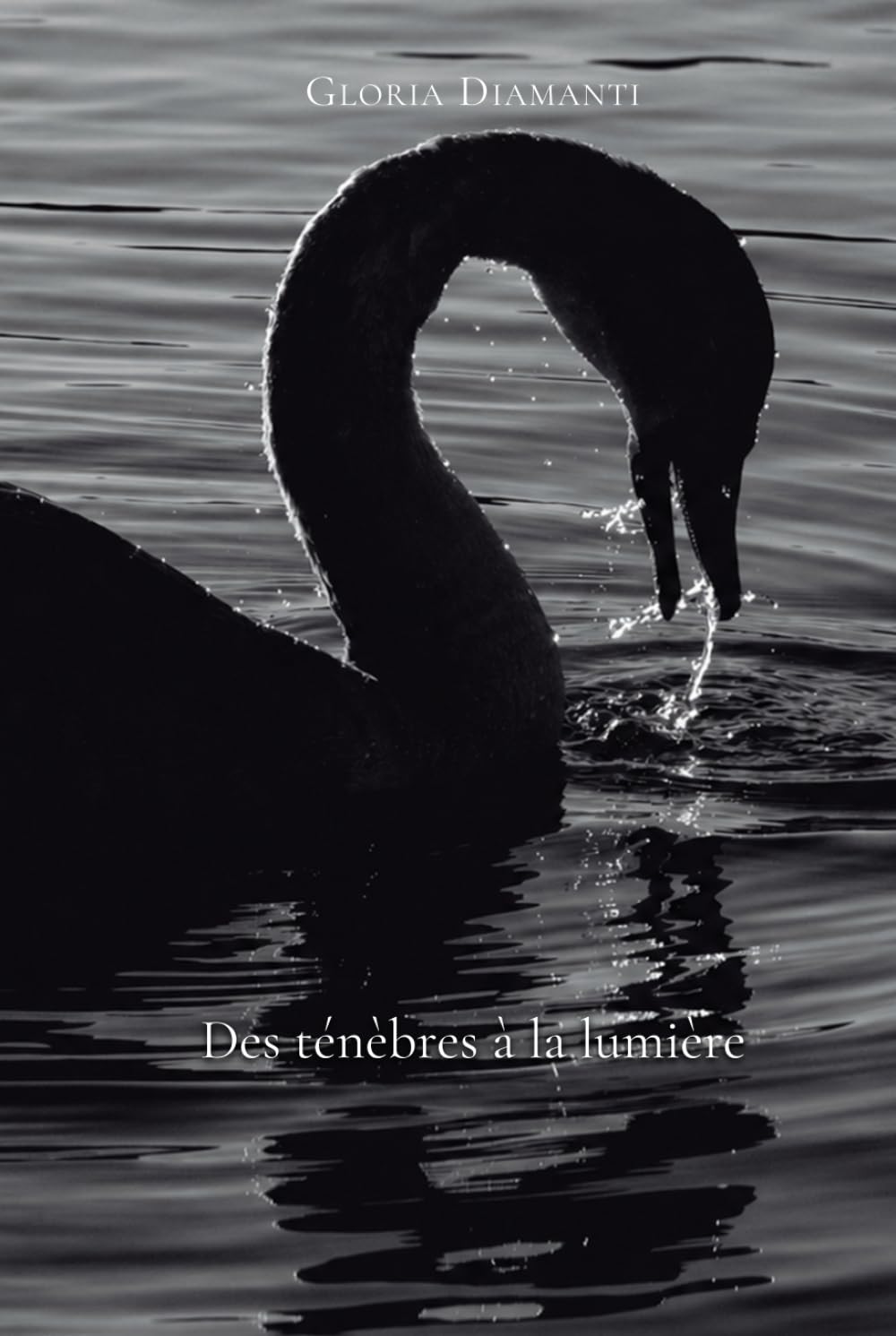 Des ténèbres à la lumière
