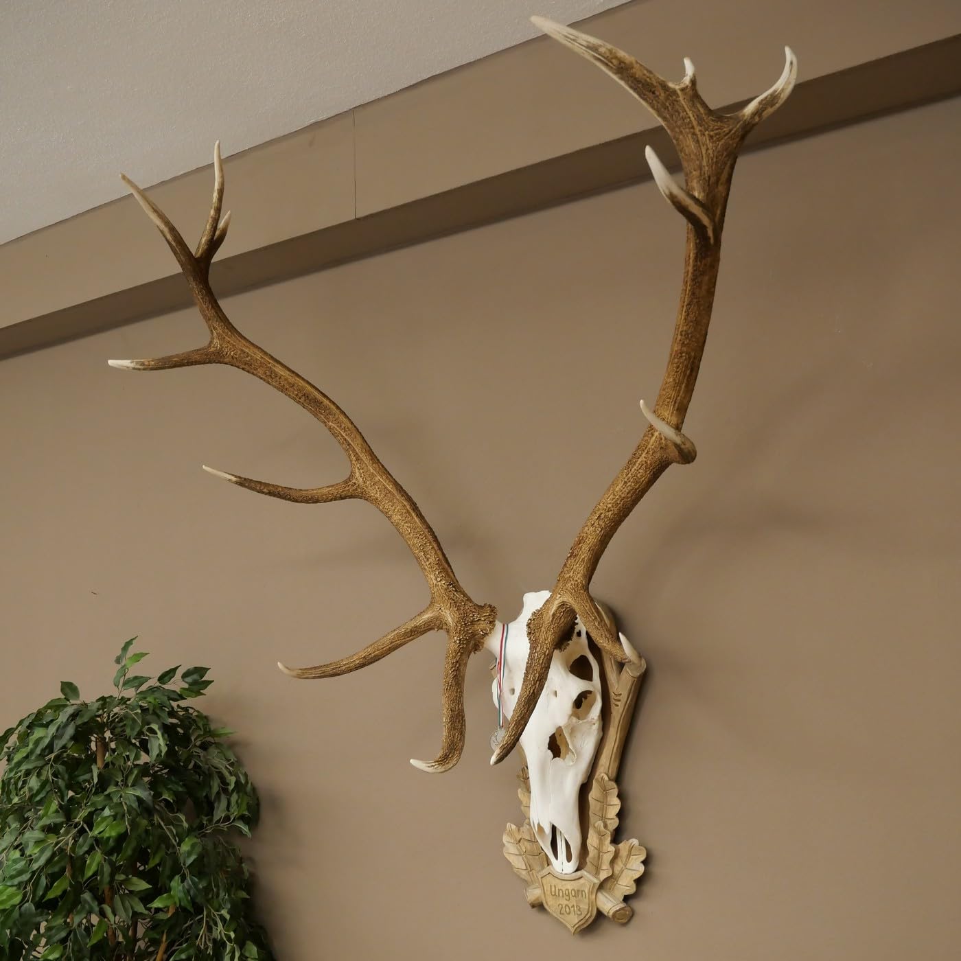GTK - Geweihe & Trophäen KRUMHOLZ Antler di cervo rosso, 14 deni, medaglia di cervo argento, altezza 135 cm, corna di cervo su cartello trofeo intagliato
