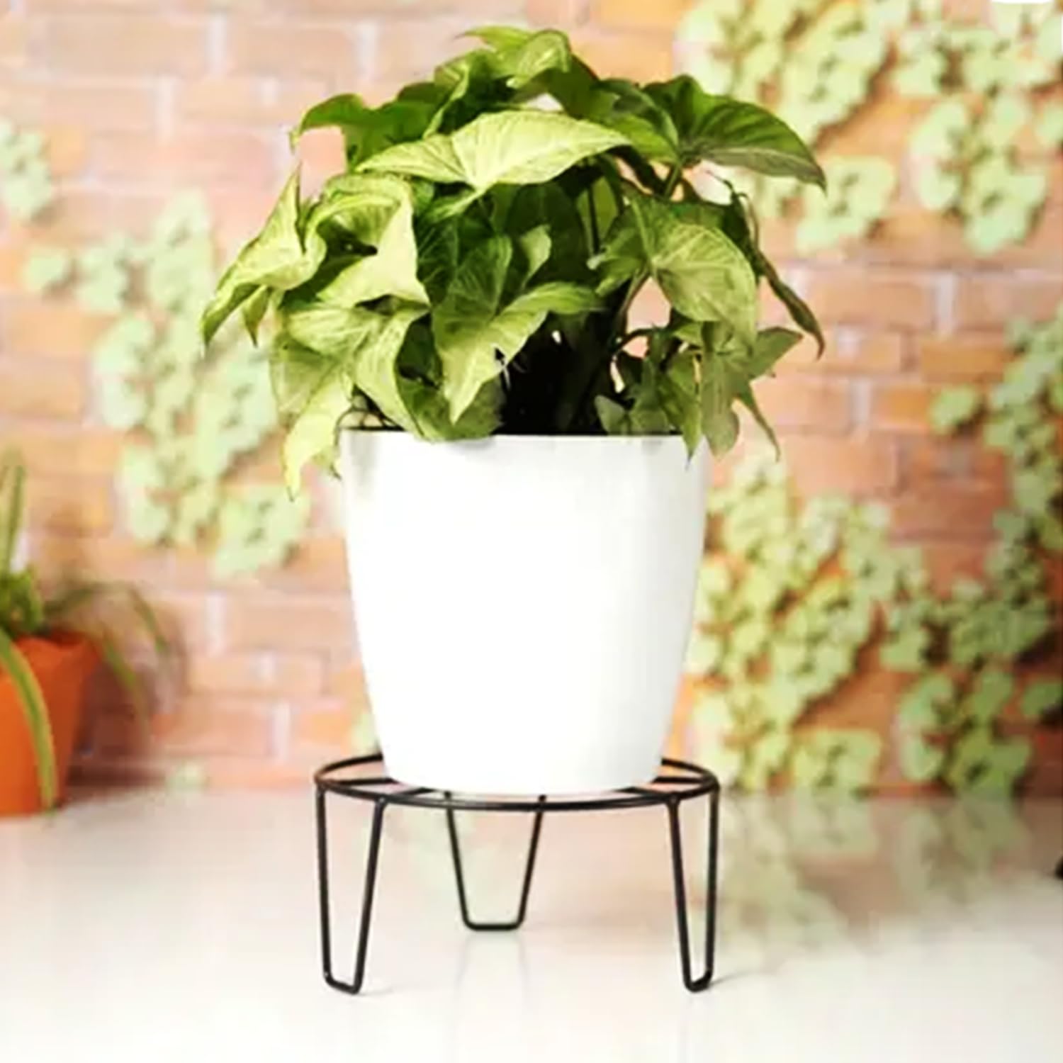 Go Hooked Flower Pot Stands - Display Plants Elegantly -2