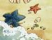 Starfish Story Make a Difference Note Cards Boxed Set - Toes and Starfish - 16 Premium Cards and Matching Envelopes