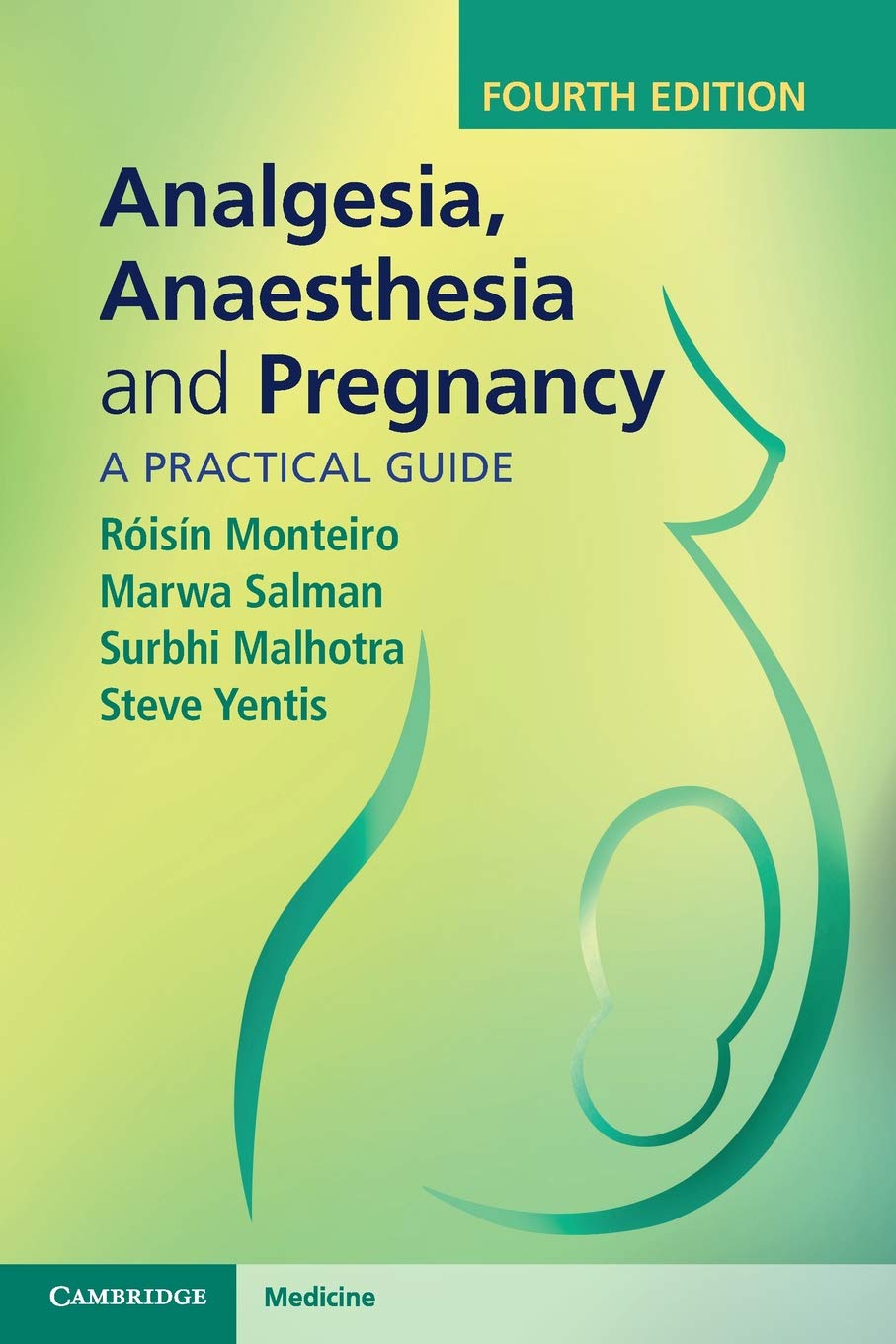 Analgesia, Anaesthesia and Pregnancy: A Practical Guide-Monteiro