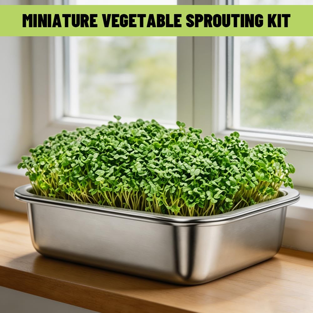 Lot de 2 Germoirs en Acier Inoxydable 26 x 19 cm, Plateau de Germination 2 en 1 pour Graines et Microgreens, Bac à Germes Réutilisable Passe au Lave-Vaisselle, Culture Facile à Domicile